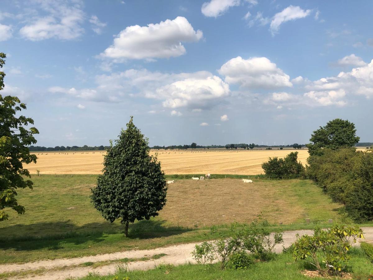 Appartamento Gut Bielenberg Kollmar Esterno foto